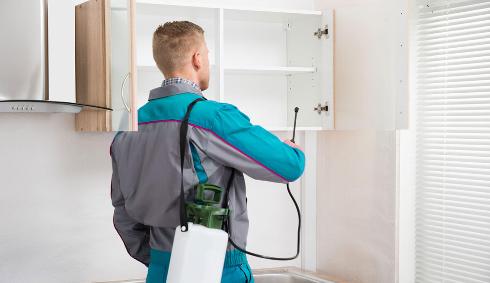 pest-control-home-image